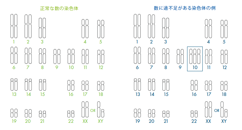 PGT-Aについて