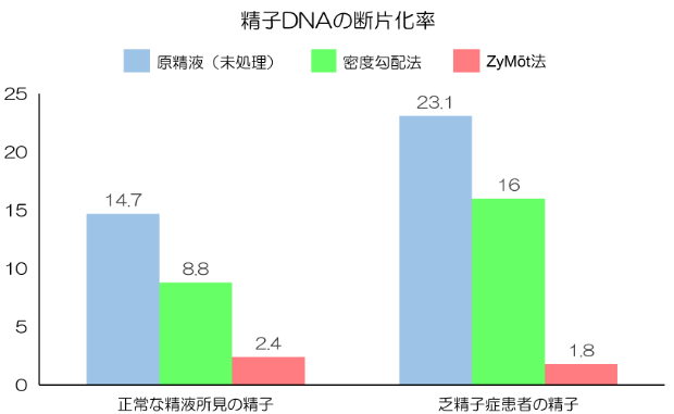 参考画像2